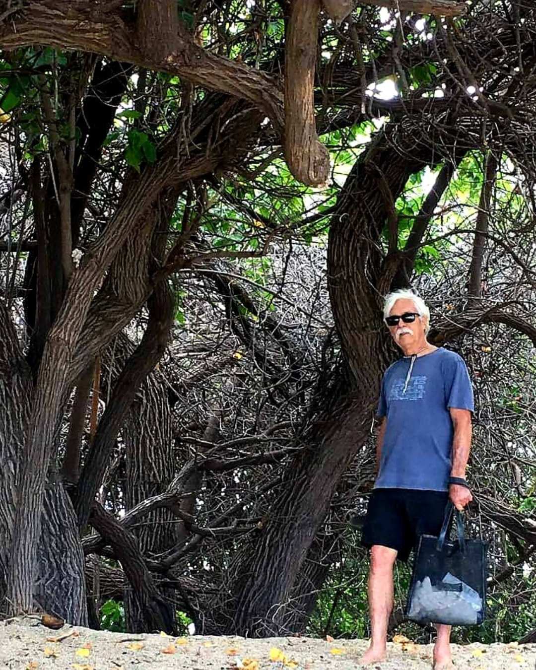 Harry Pritikin on the Big Island